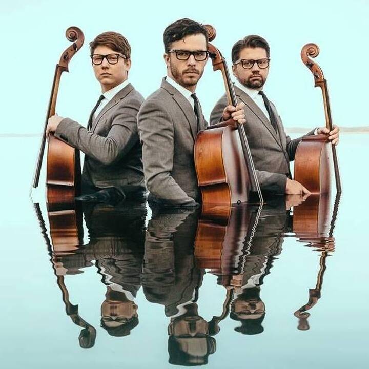 „Melo-M“ – kitoks violončelės skambesys