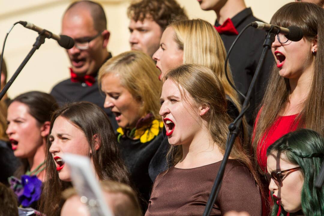 Šventinė VU studentų eisena