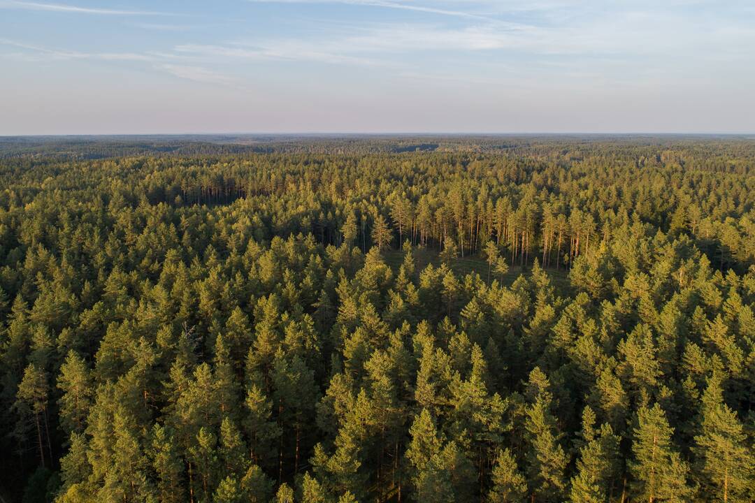 Asociatyvi nuotrauka