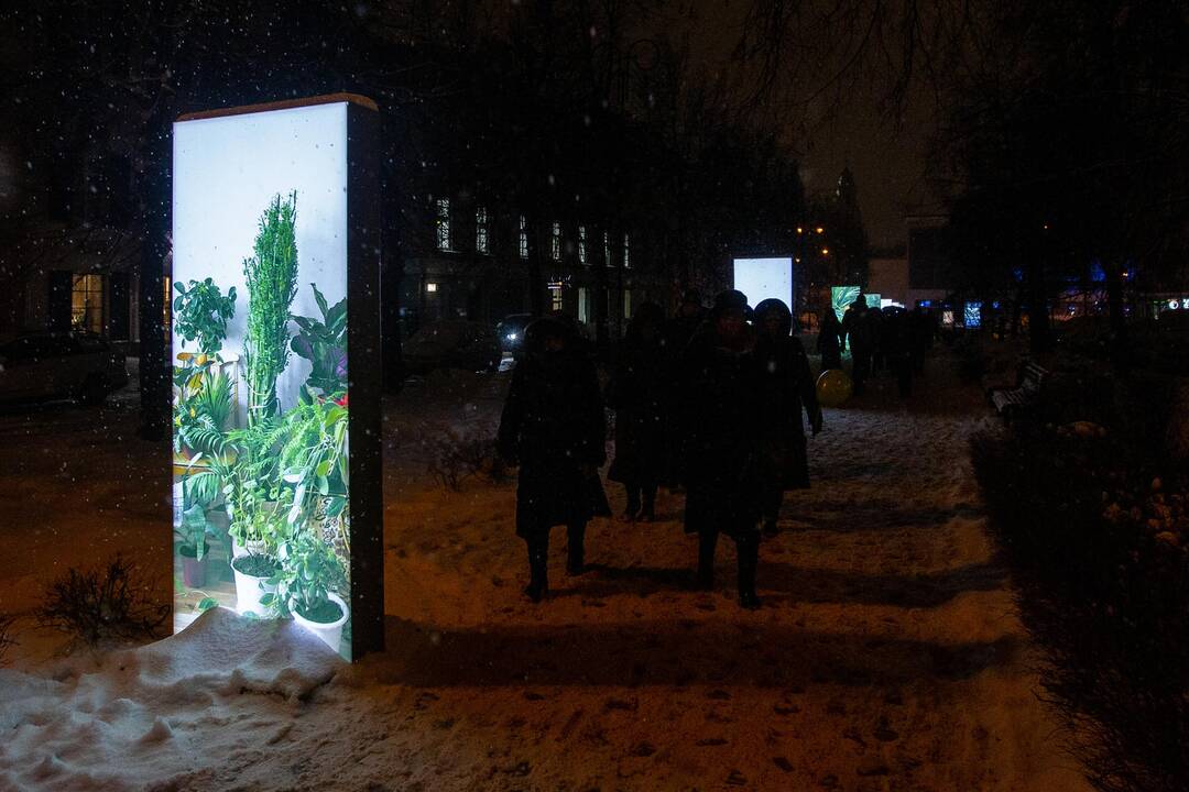 Vilniaus šviesų festivalis