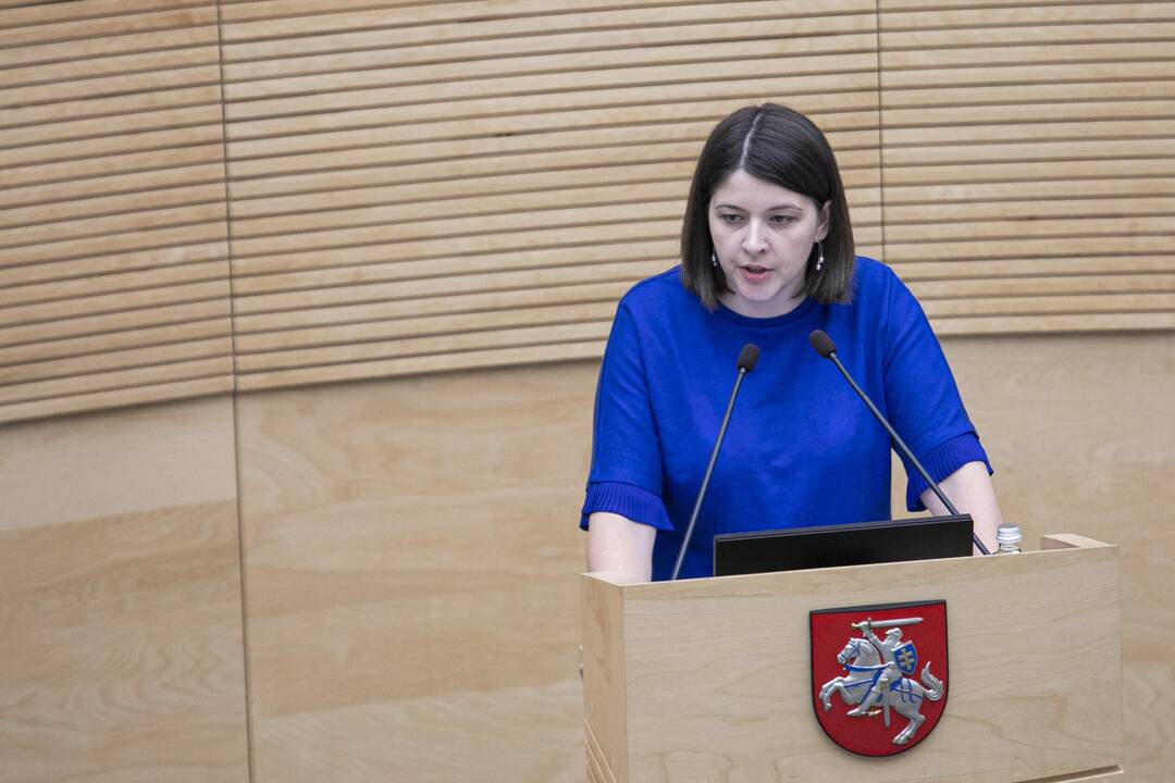 Pirmasis 2020 metų biudžeto projekto svarstymas Seime