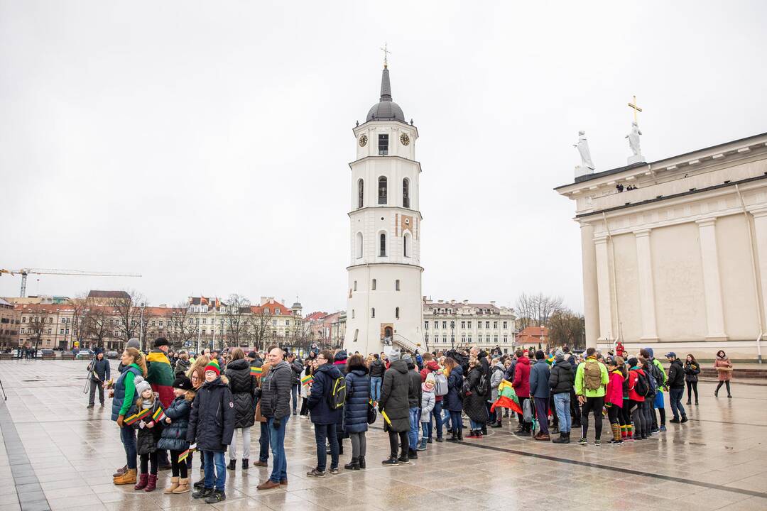 Rekordinis iš žmonių sudarytas Vytis