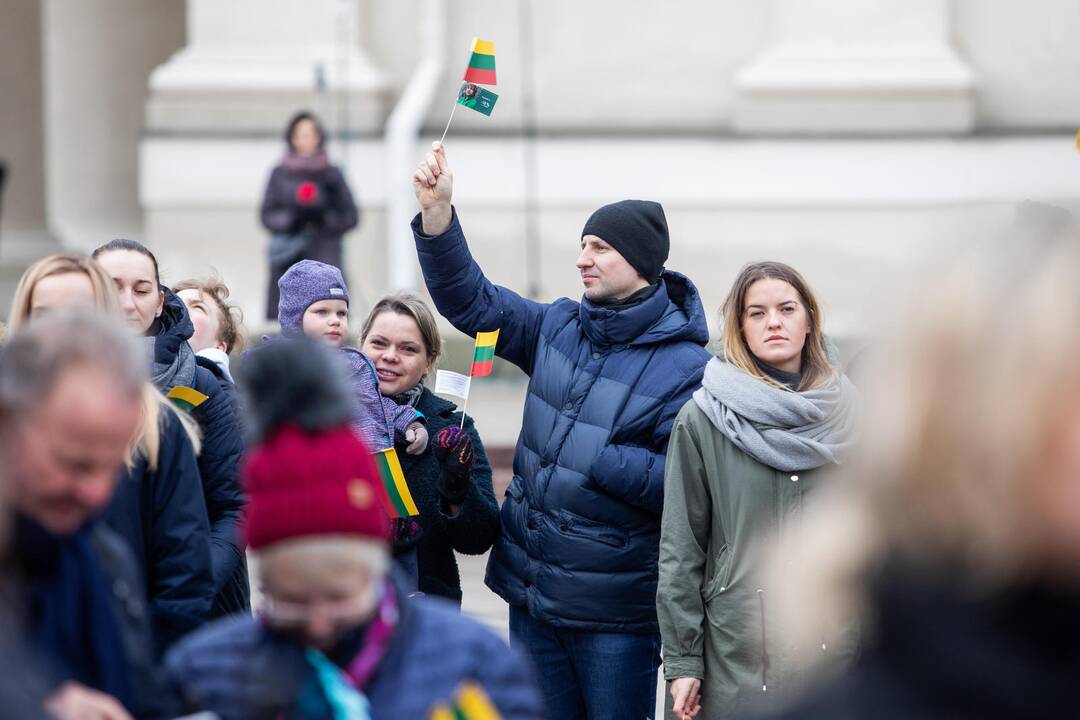 Rekordinis iš žmonių sudarytas Vytis
