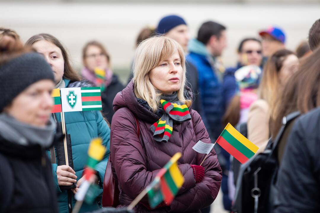 Rekordinis iš žmonių sudarytas Vytis