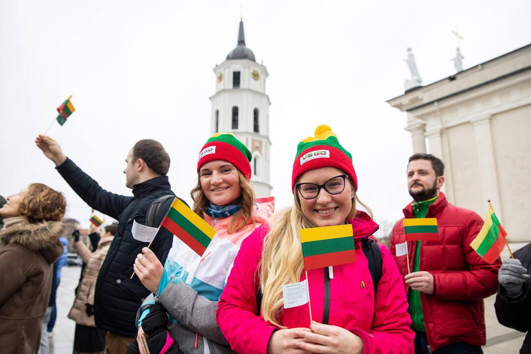 Rekordinis iš žmonių sudarytas Vytis