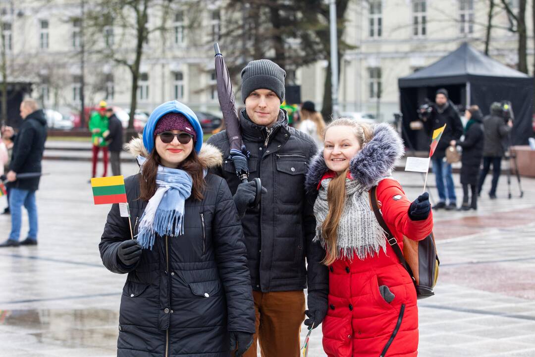 Rekordinis iš žmonių sudarytas Vytis