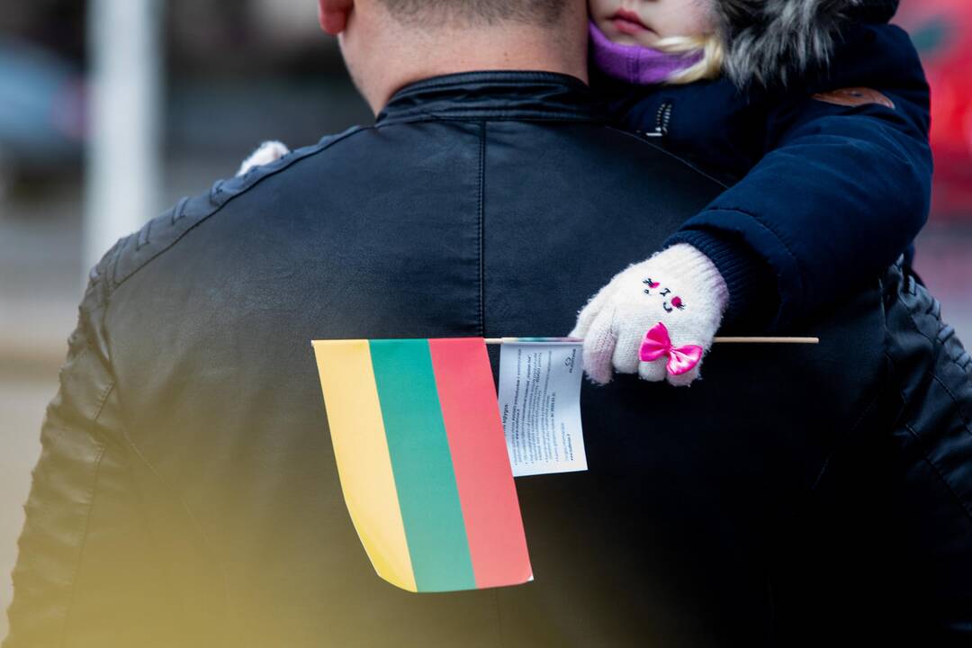 Rekordinis iš žmonių sudarytas Vytis