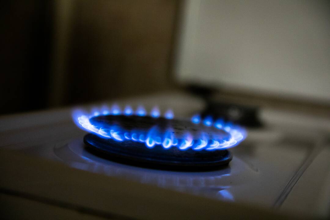 Dujų skirstymo kaina kitais metais augs 80 proc.