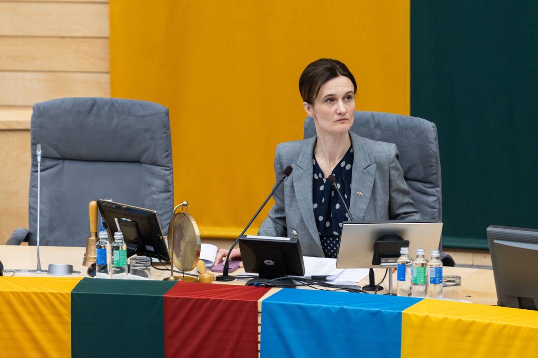 Seime premjerė pristatė praėjusių metų Vyriausybės veiklos ataskaitą