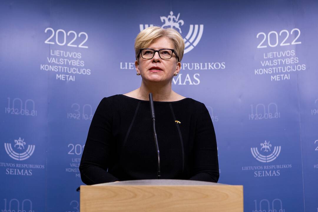 Seime premjerė pristatė praėjusių metų Vyriausybės veiklos ataskaitą
