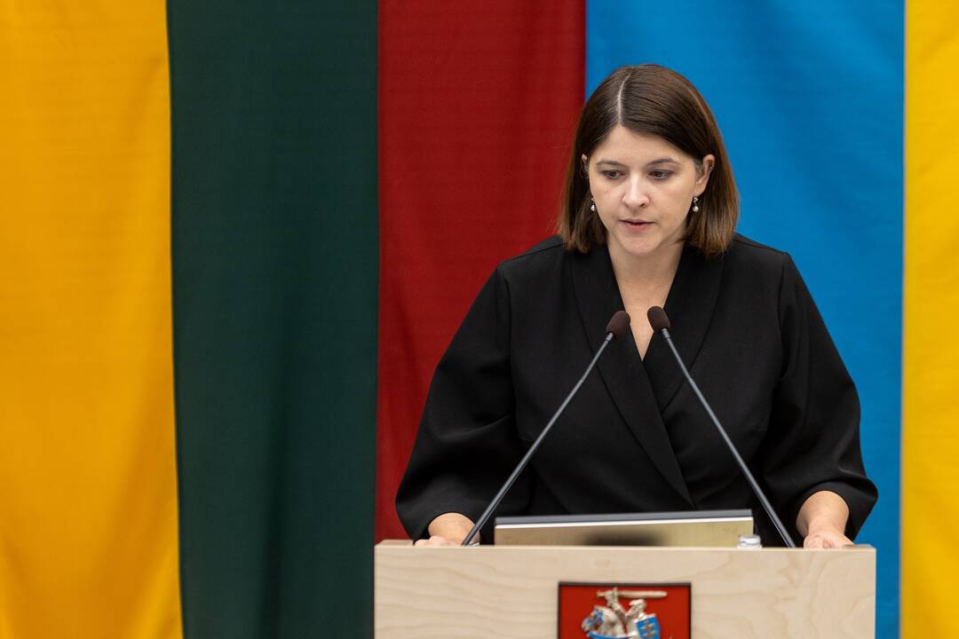 Seimui pristatomas 2023 metų valstybės biudžeto projektas