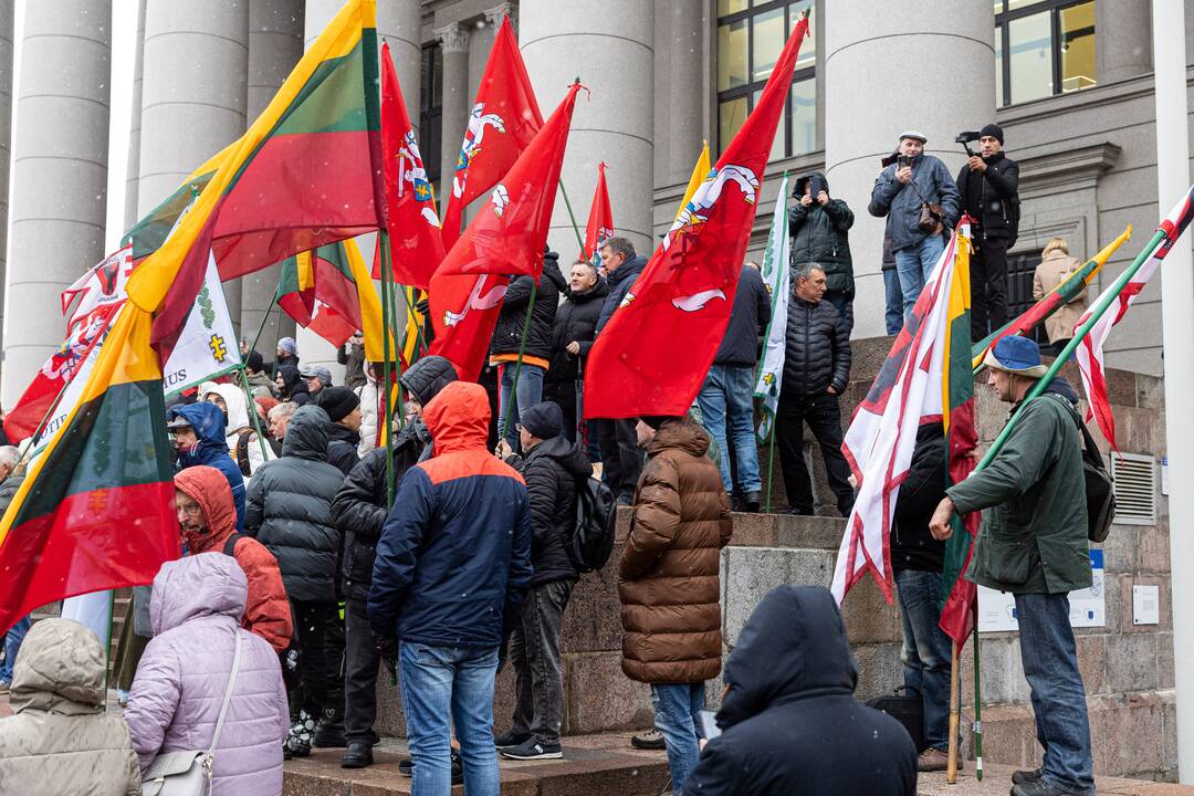 Prie Seimo – mitingas dėl NT mokesčio