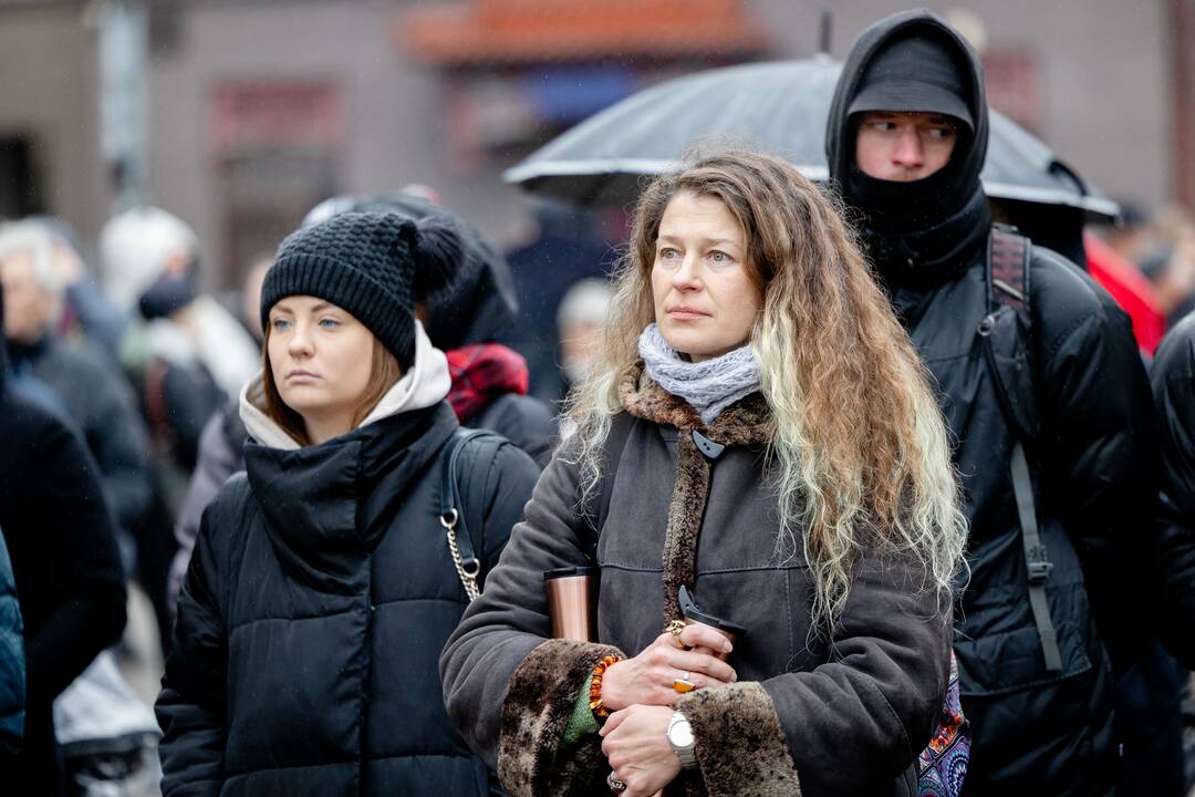 Prie Seimo – protestas dėl plynųjų miškų kirtimų