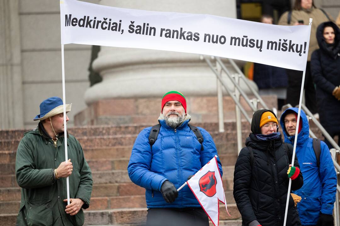 Prie Seimo – protestas dėl plynųjų miškų kirtimų