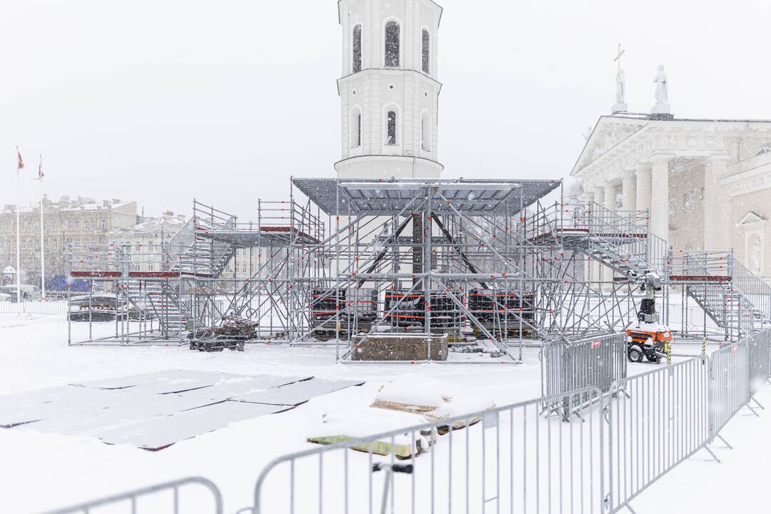Katedros aikštėje pradėta statyti kalėdinė eglė