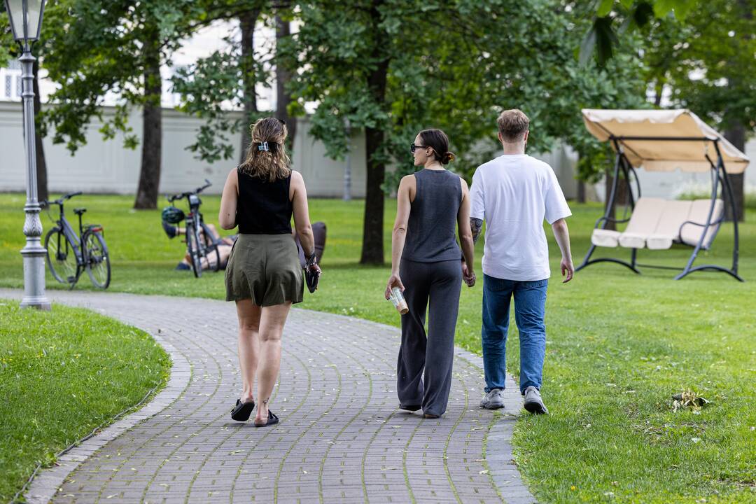 Prezidento rinkimų rezultatų stebėjimas Prezidentūros kieme