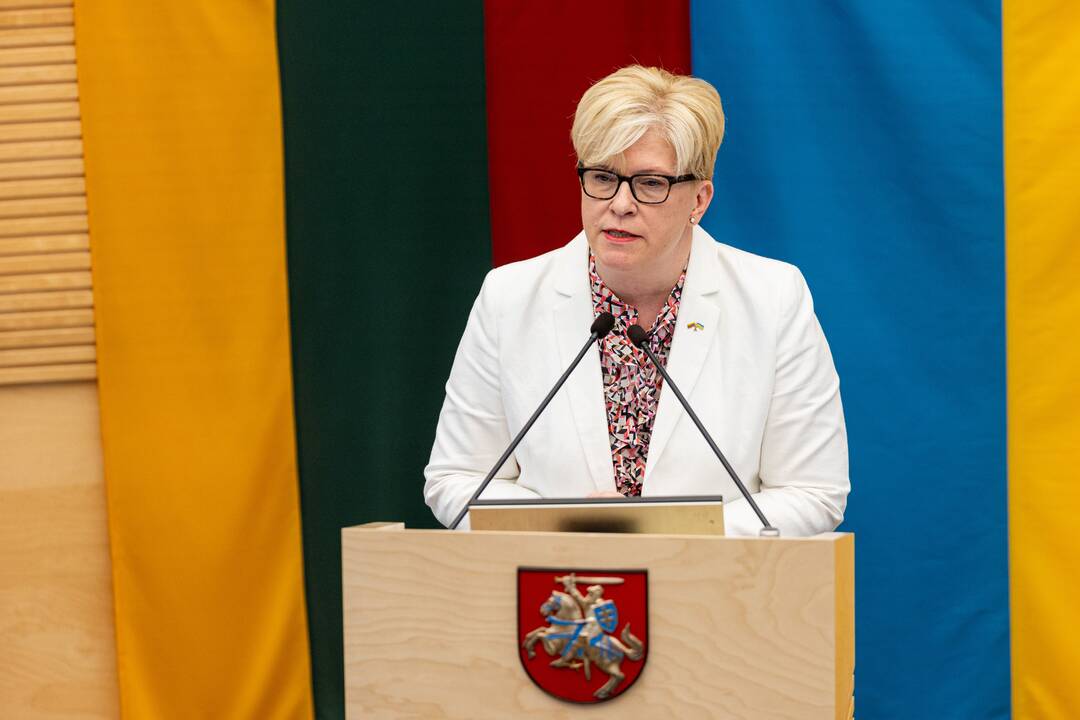 I. Šimonytė tikrinasi pasitikėjimą Seime