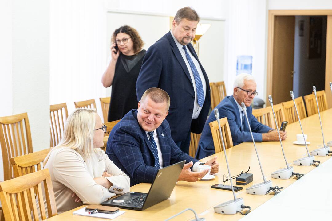 I. Šimonytė susitinka su Seimo frakcijomis