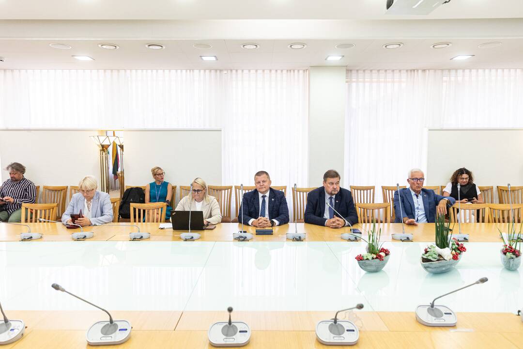 I. Šimonytė susitinka su Seimo frakcijomis