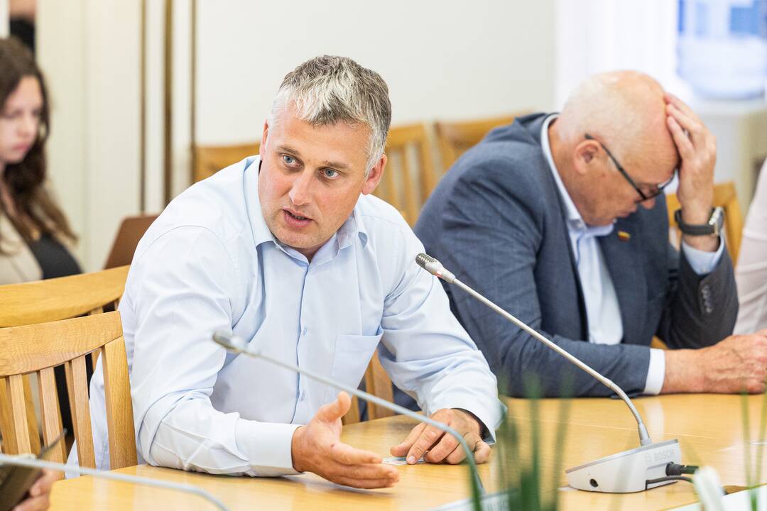 I. Šimonytė susitinka su Seimo frakcijomis