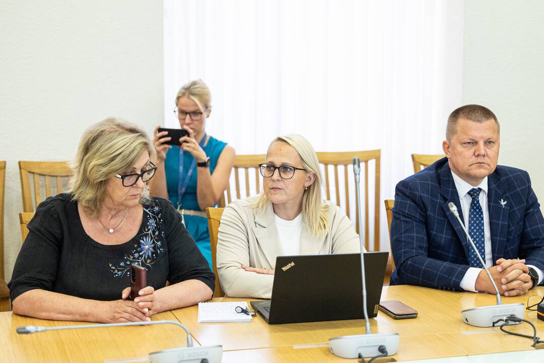 I. Šimonytė susitinka su Seimo frakcijomis