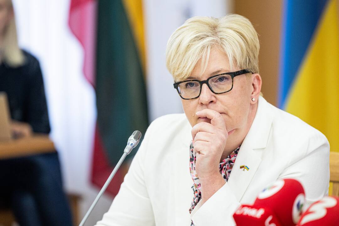 I. Šimonytė susitinka su Seimo frakcijomis