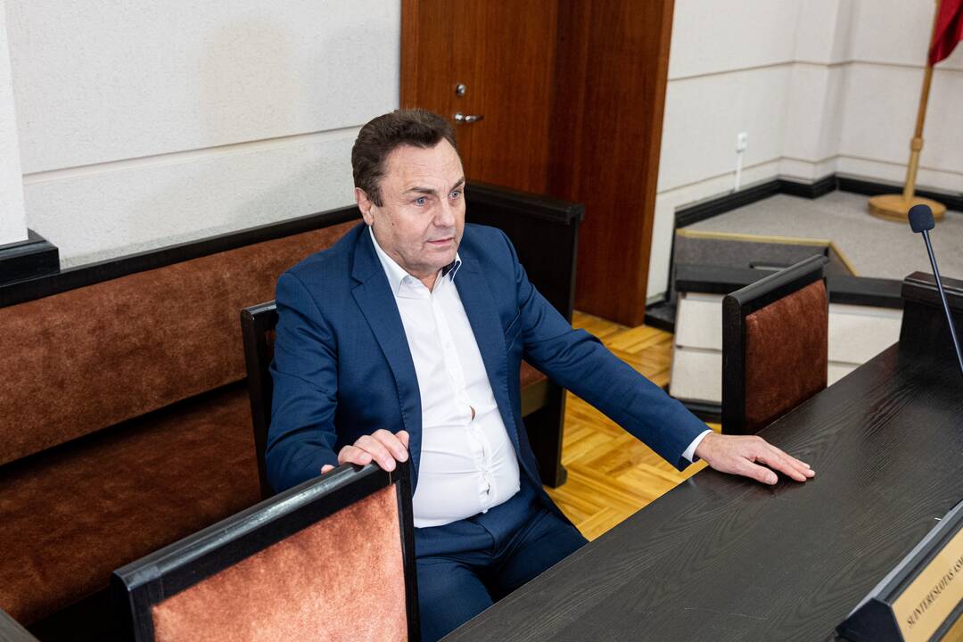 P. Gražulis Konstituciniame Teisme
