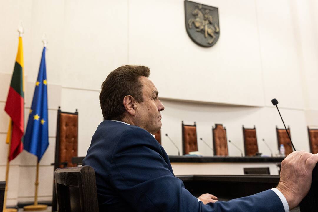 P. Gražulis Konstituciniame Teisme
