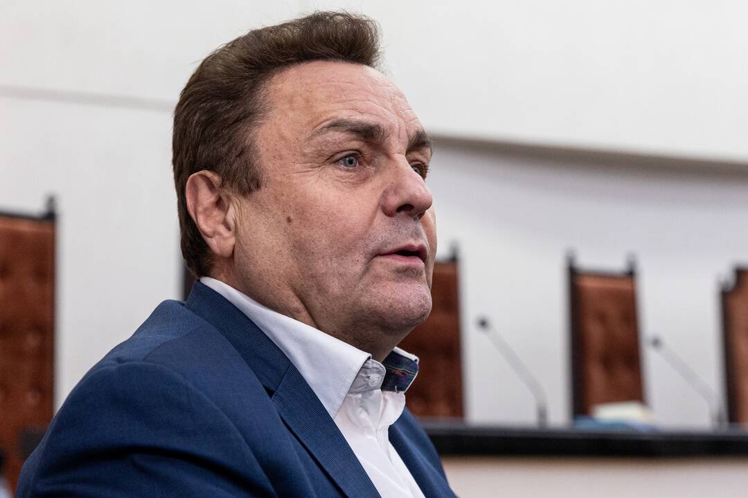 P. Gražulis Konstituciniame Teisme
