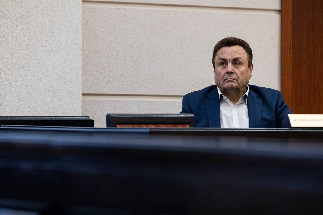 P. Gražulis Konstituciniame Teisme