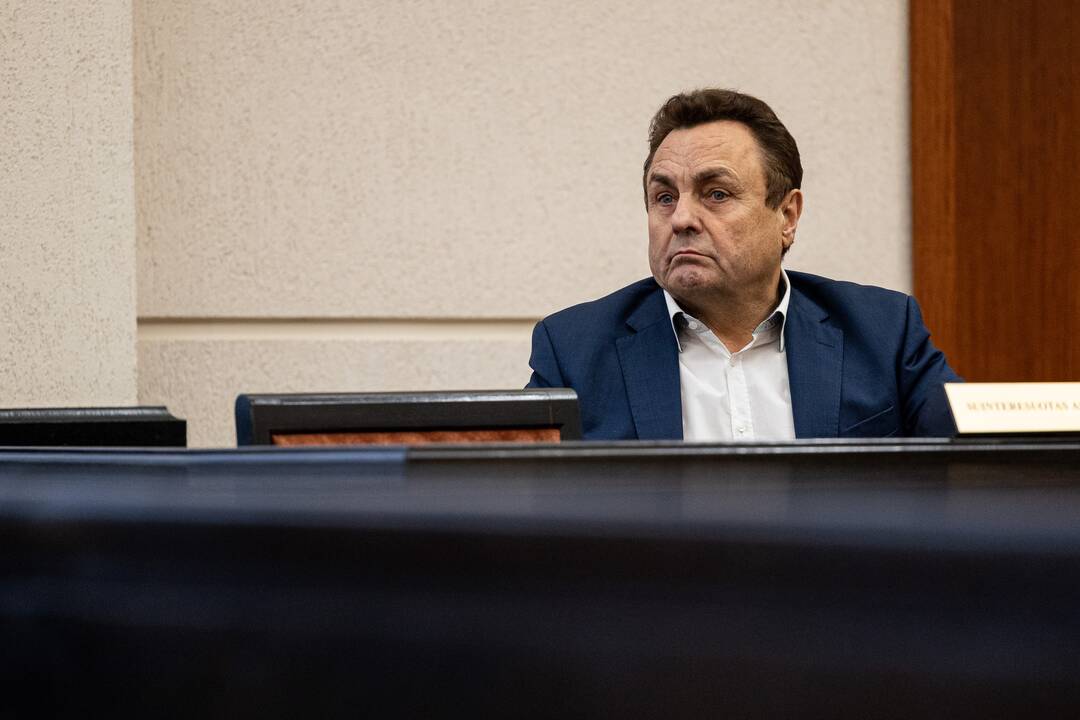 P. Gražulis Konstituciniame Teisme