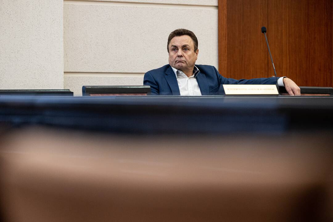 P. Gražulis Konstituciniame Teisme
