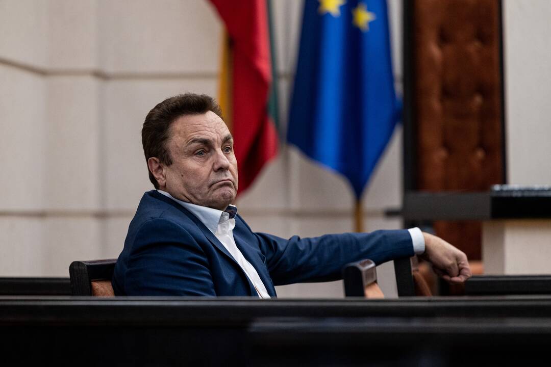 P. Gražulis Konstituciniame Teisme