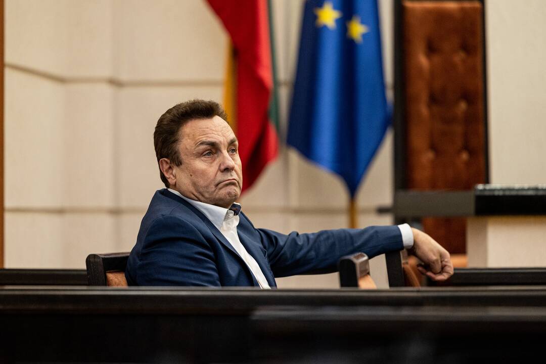 P. Gražulis Konstituciniame Teisme