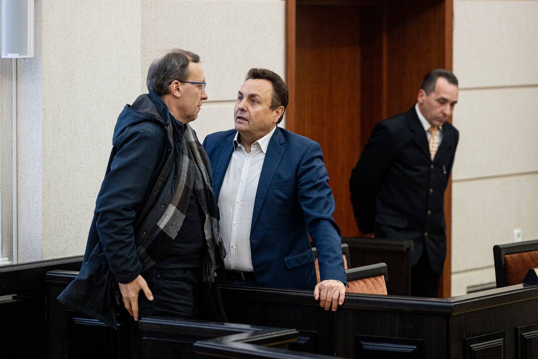 P. Gražulis Konstituciniame Teisme