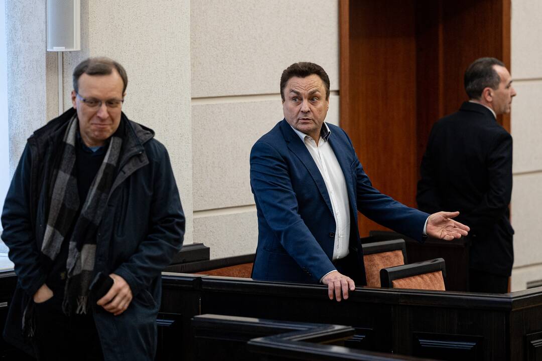 P. Gražulis Konstituciniame Teisme