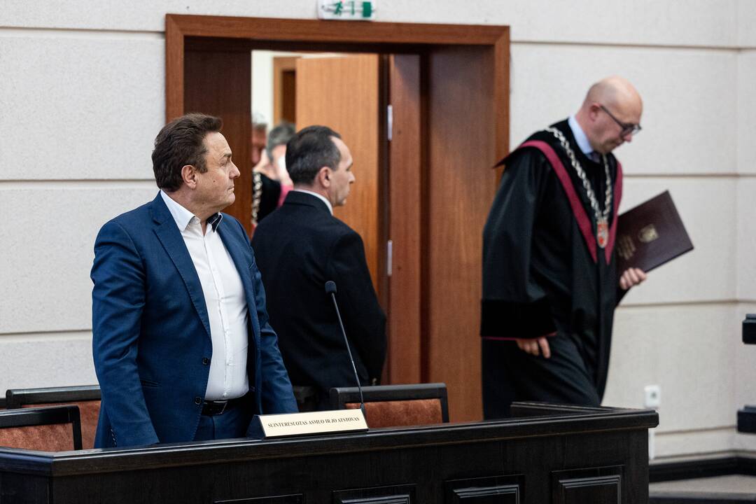 P. Gražulis Konstituciniame Teisme