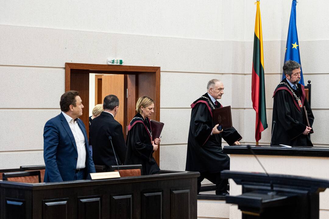 P. Gražulis Konstituciniame Teisme