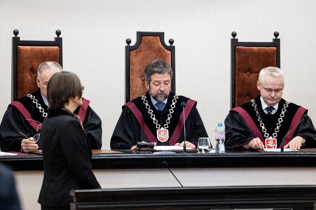 P. Gražulis Konstituciniame Teisme