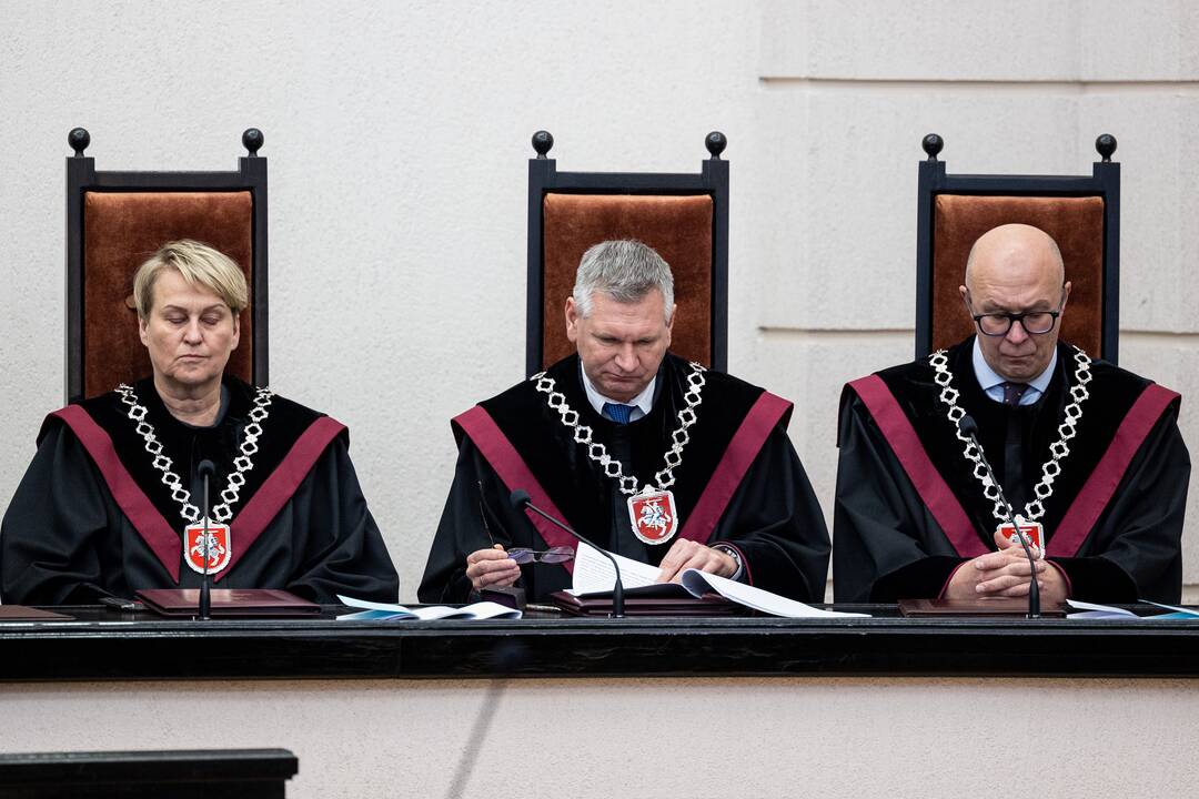 P. Gražulis Konstituciniame Teisme