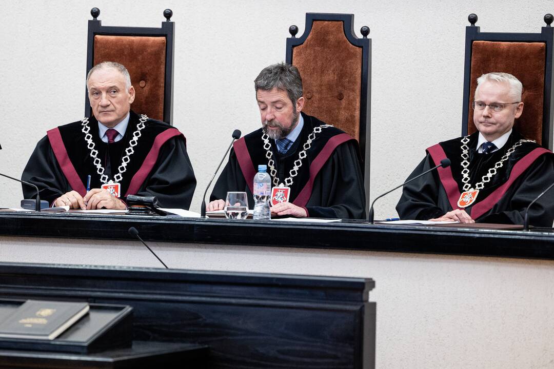 P. Gražulis Konstituciniame Teisme