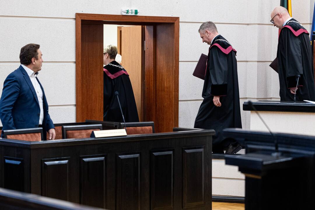 P. Gražulis Konstituciniame Teisme