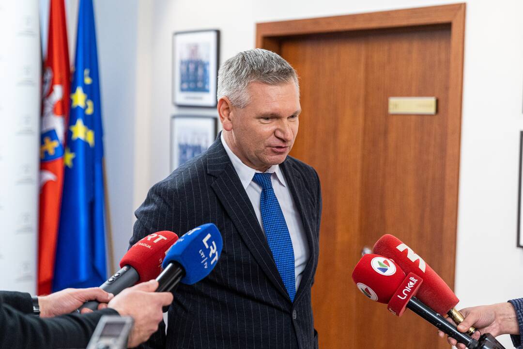 P. Gražulis Konstituciniame Teisme