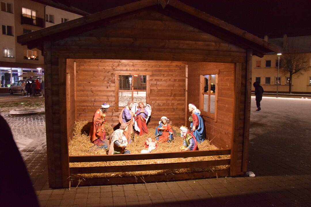 Vilkaviškyje tūkstančiais lempučių nušvito miesto eglė
