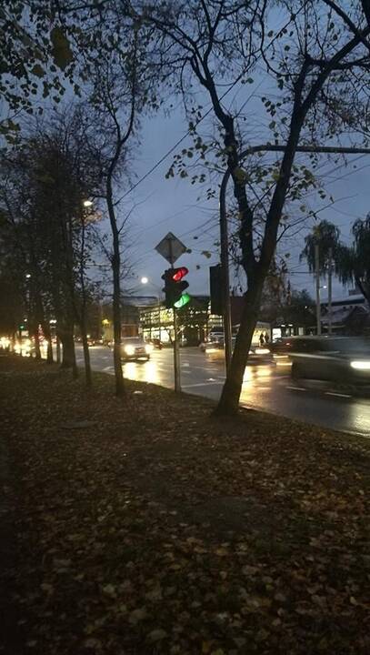 Kauniečiai perspėja: Savanorių prospekte klaidina šviesoforas