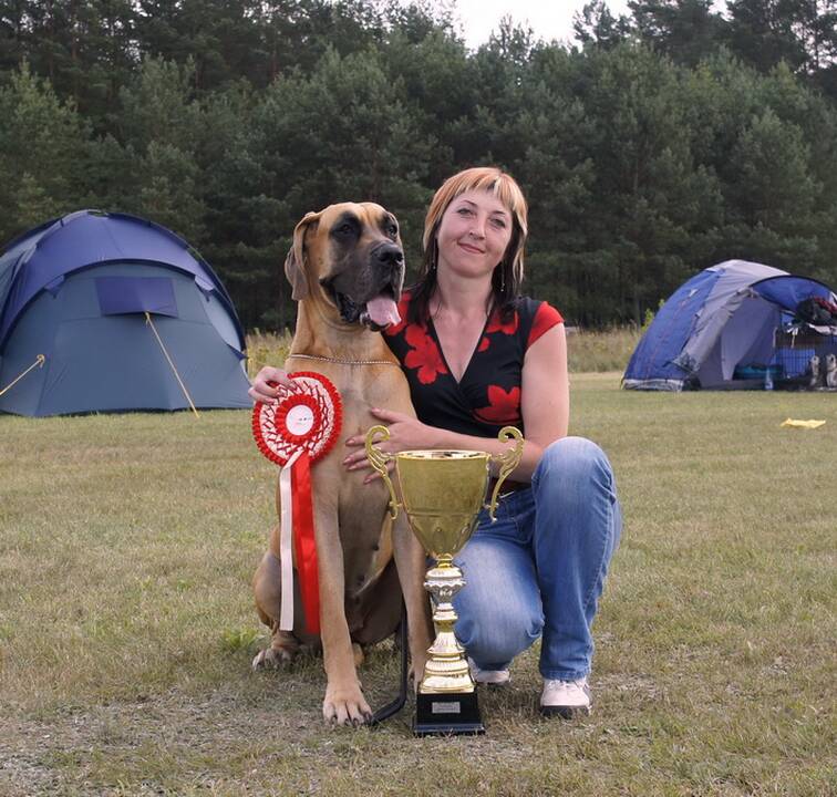 Meilė: V.Vosyliūtė jau neįsivaizduoja gyvenimo be vokiečių dogų, o jos augintinės, matyt, be jos. 