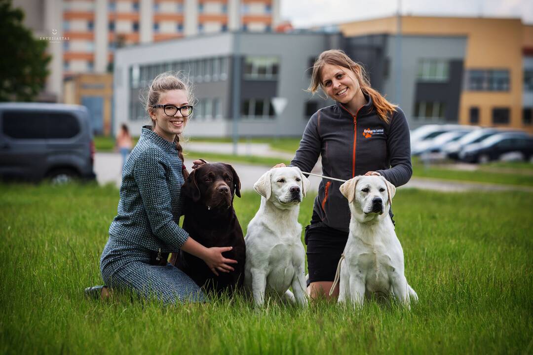 Atokvėpis: Naujosios Škotijos retriveris Wiskas ir labradoro retriveris Dexteris Druskininkų tarptautinėje šunų parodoje su savo vedle A.Daukševičiūte teisėjų neliko nepastebėti. 