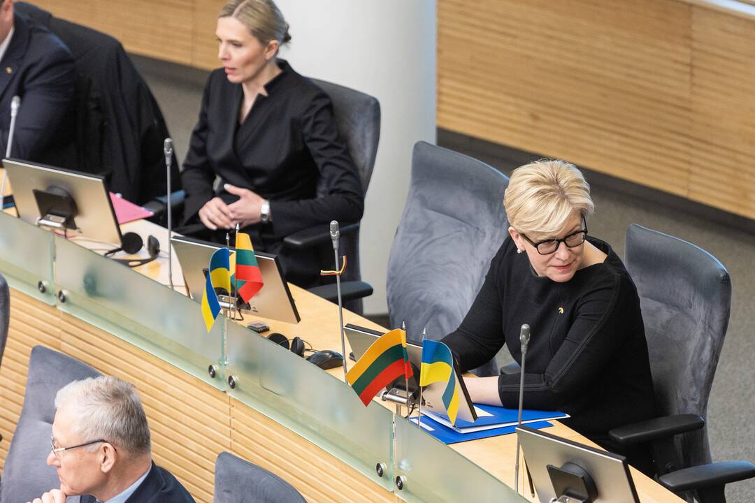 Seime premjerė pristatė praėjusių metų Vyriausybės veiklos ataskaitą