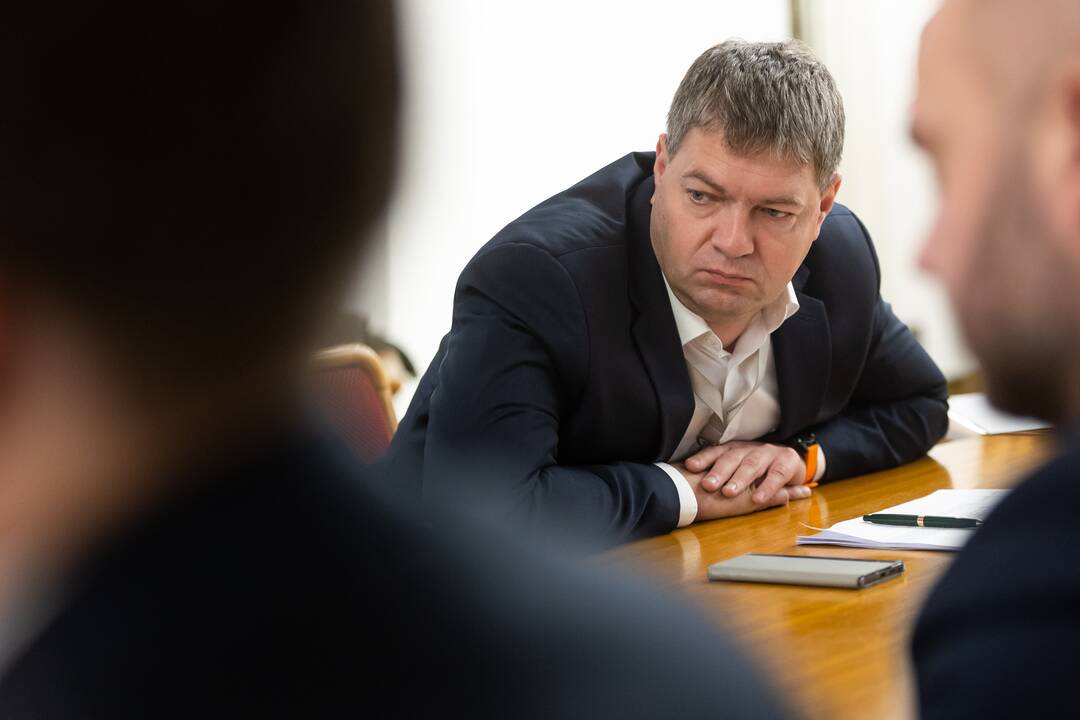 Seimo opozicinės frakcijos susitiko su A. Bilotaite
