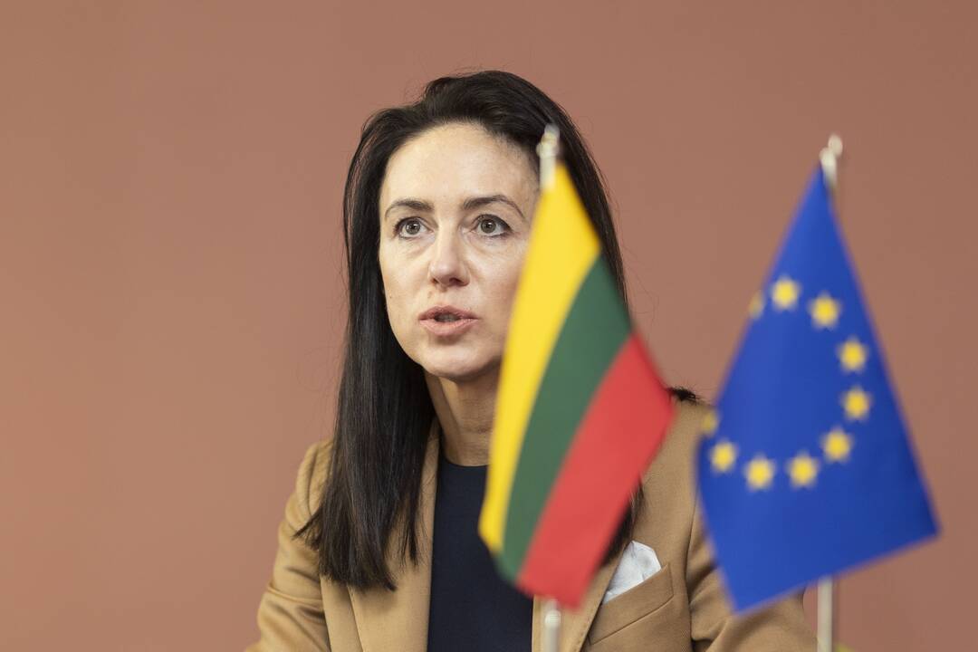 N. Grunskienės, A. Kostin ir  K. Polite spaudos konferencija